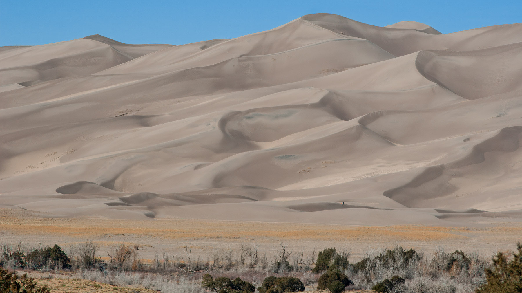 Sand Dunes