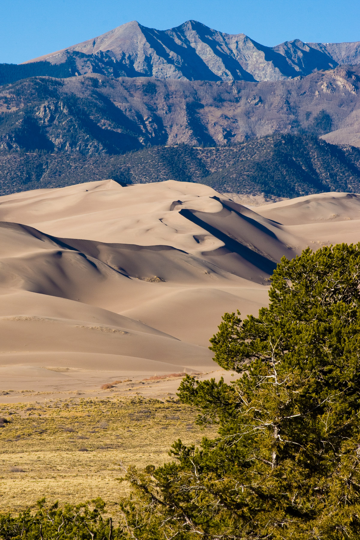 Great Sand Dunes with mountains in the background