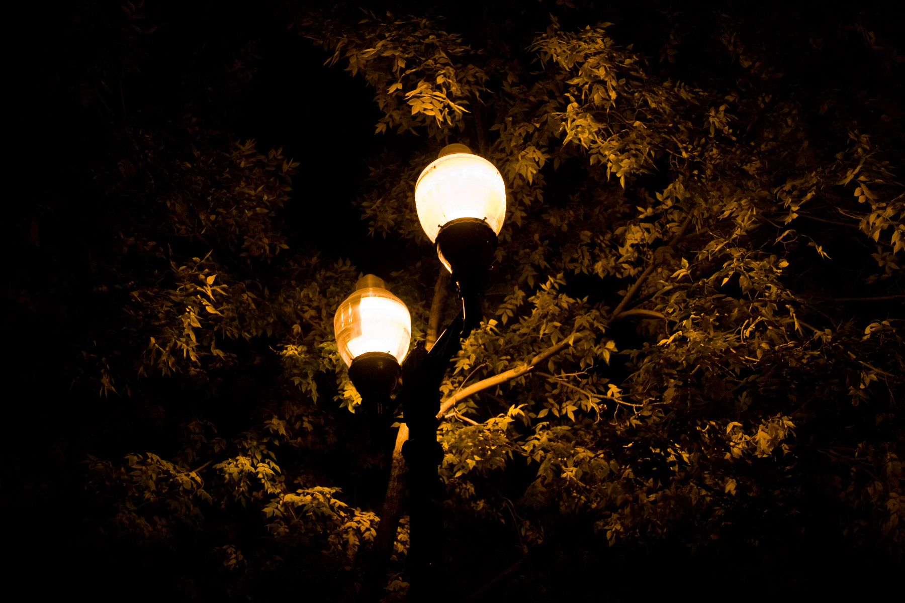 Street lamp at night